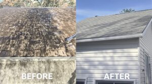 Soft Washing and Its Importance for Home Maintenance